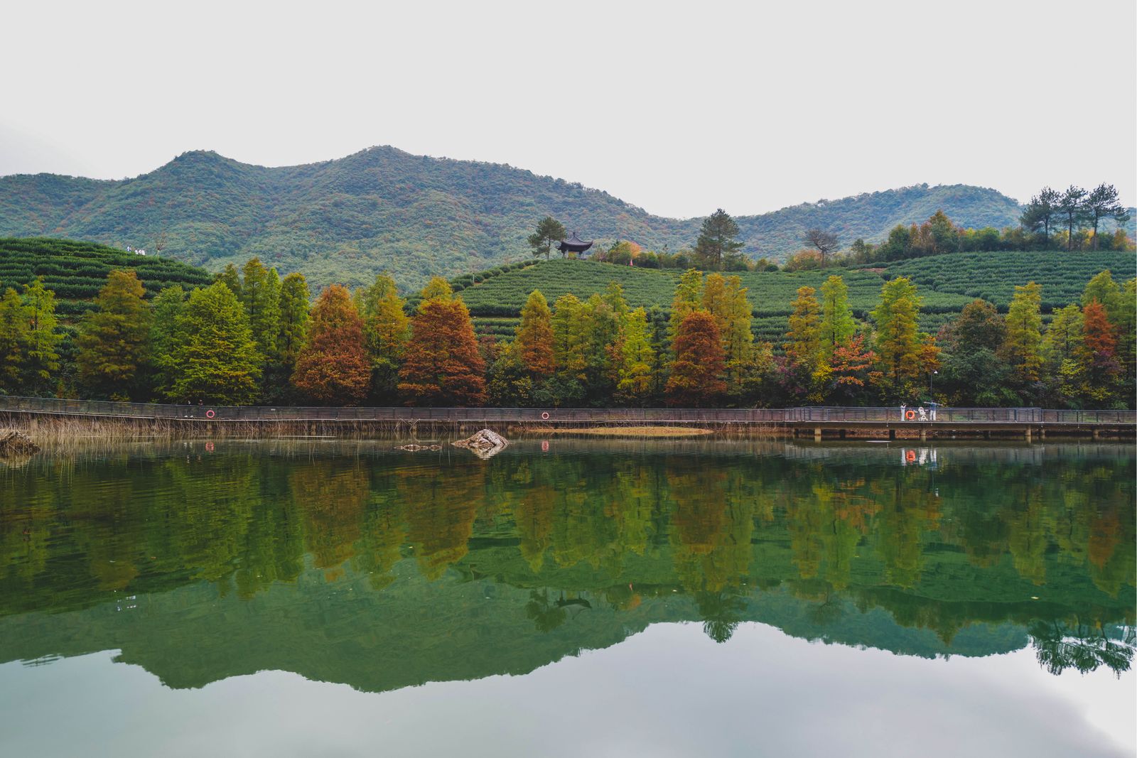 鹿女湖(金华婺城区水域)